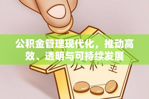 繁昌公积金管理现代化，推动高效、透明与可持续发展