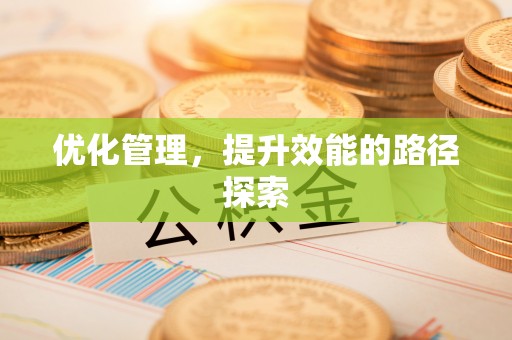 繁昌优化管理，提升效能的路径探索